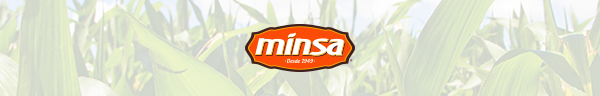 MINSA